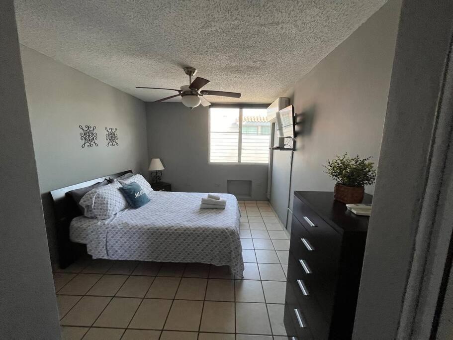 Apartamento Penthouse In